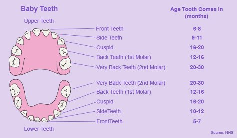 teething at 20 months