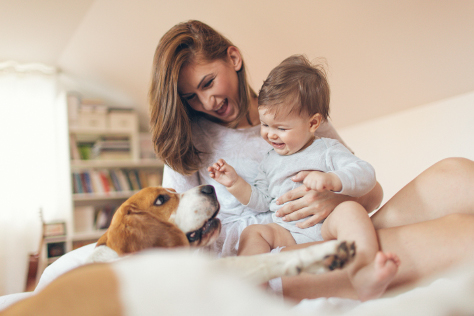 Babies and toddlers safe around dogs | Bounty
